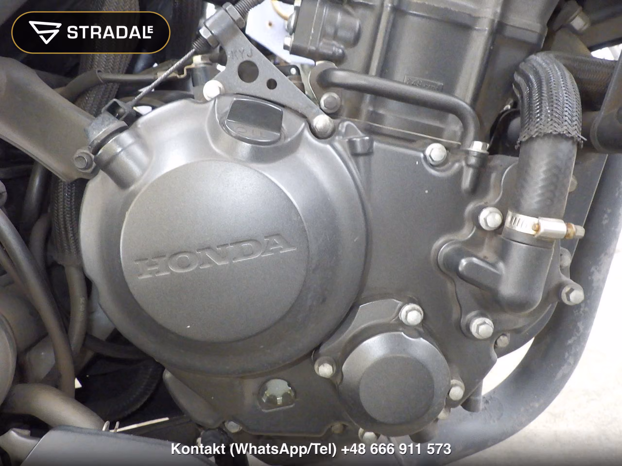 HONDA ﾚﾌﾞﾙ250A, miniaturka 4