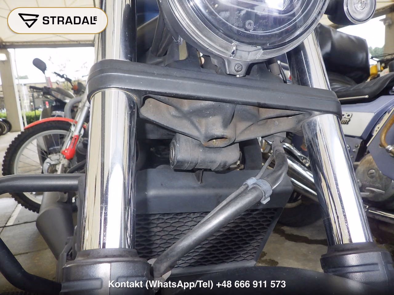 HONDA ﾚﾌﾞﾙ250A, miniaturka 8