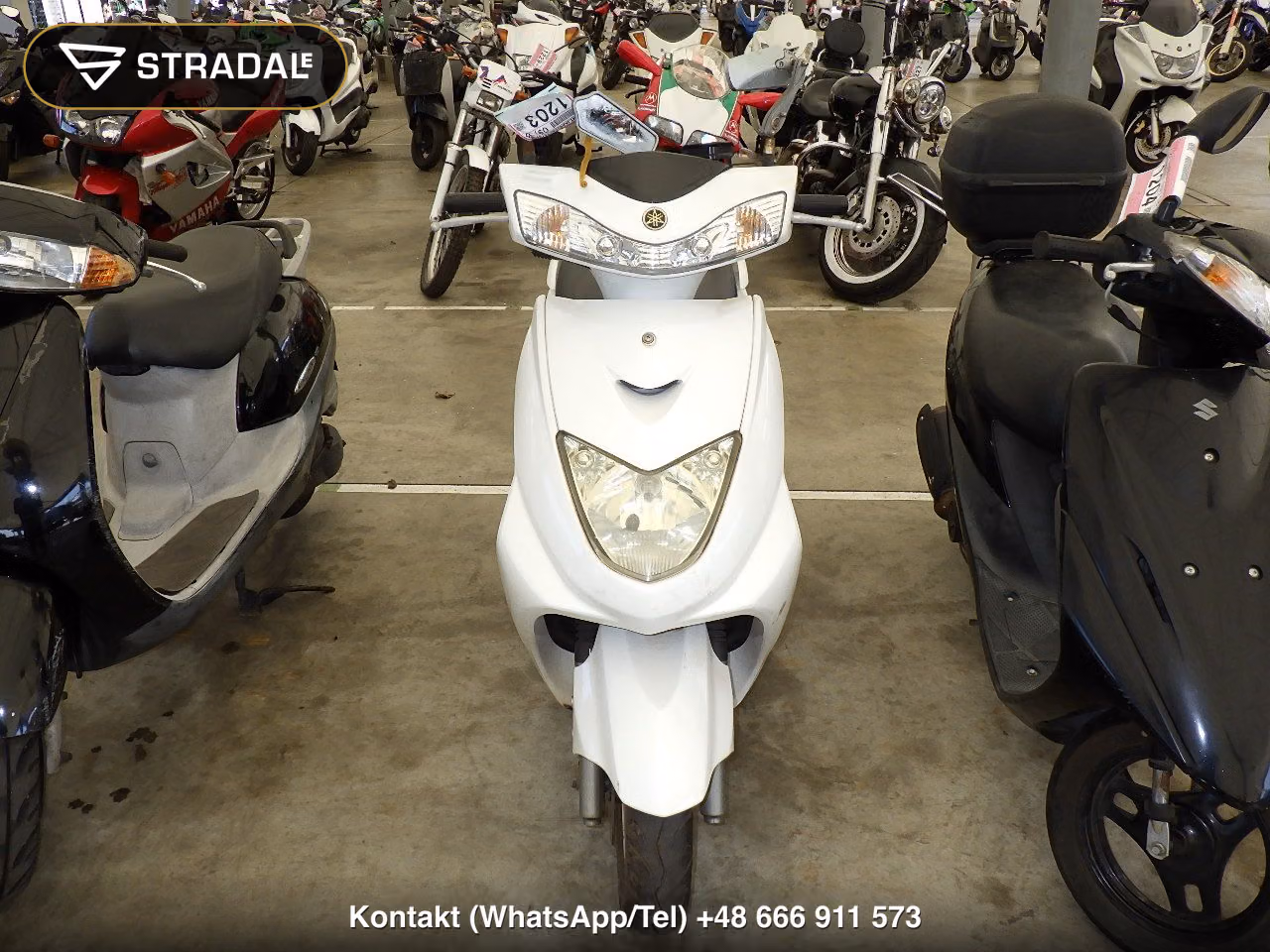 YAMAHA ｼｸﾞﾅｽ125Z, miniaturka 6