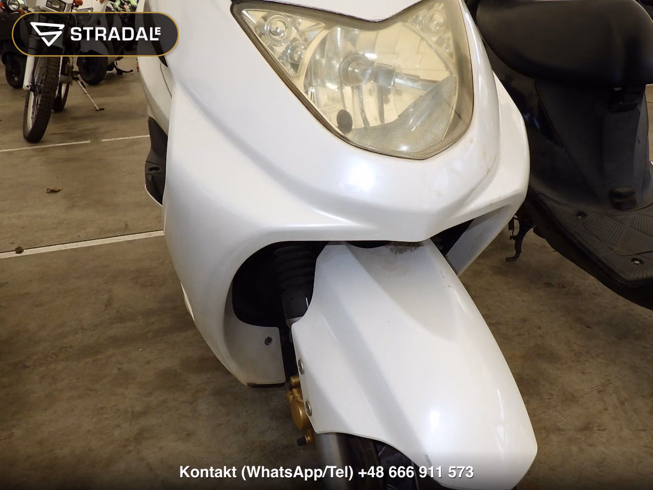 YAMAHA ｼｸﾞﾅｽ125Z, miniaturka 10