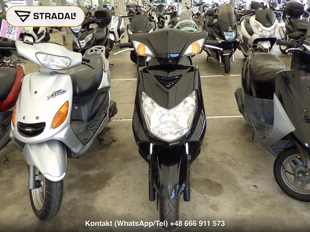 YAMAHA ｼｸﾞﾅｽ125XSR-2, miniaturka 6