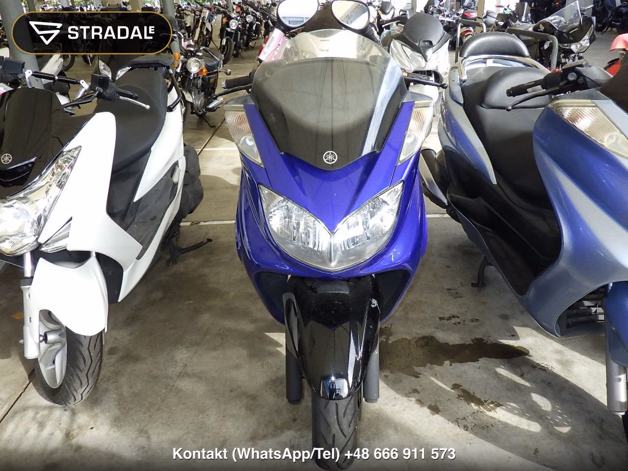 YAMAHA ﾏｼﾞｪｽﾃｨ250-3, miniaturka 6