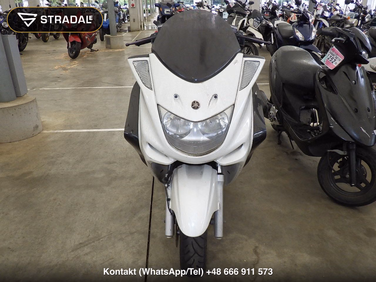 YAMAHA ﾏｼﾞｪｽﾃｨ250-2, miniaturka 6