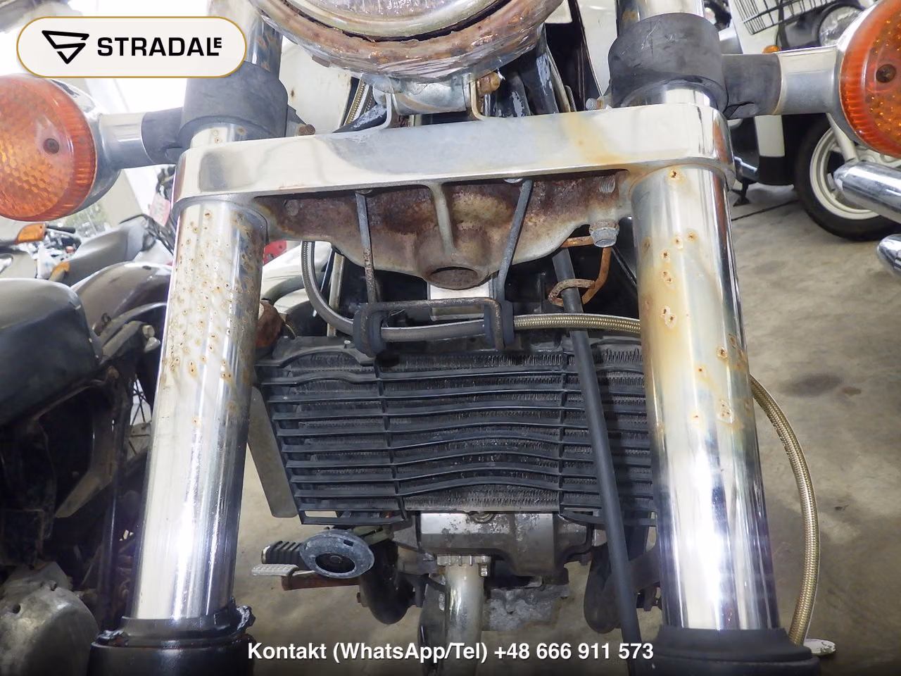 HONDA ﾏｸﾞﾅ250, miniaturka 8