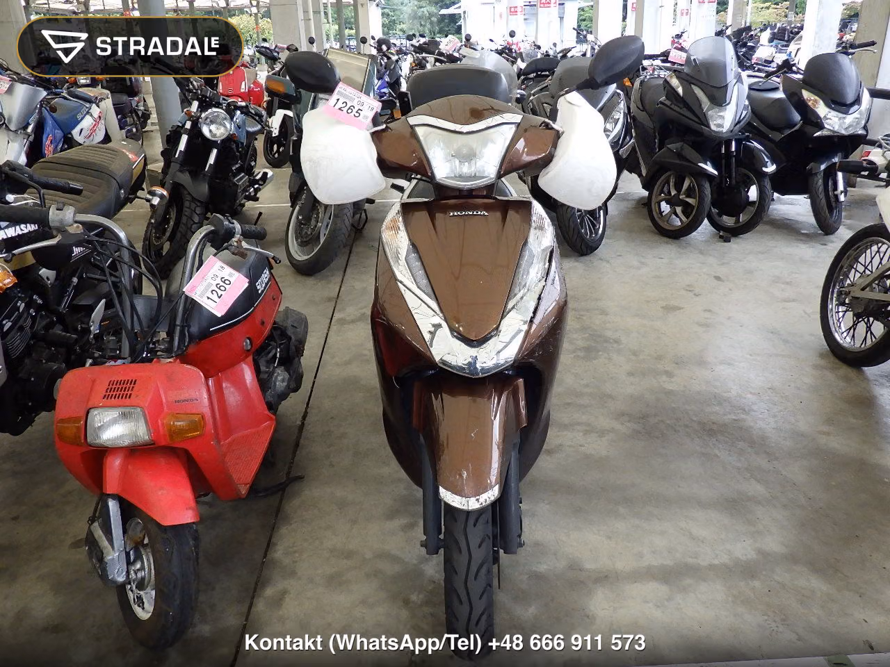 HONDA LEAD125, miniaturka 6