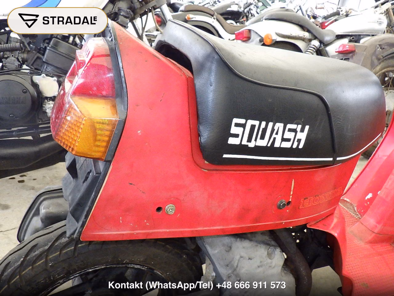 HONDA ｽｶｯｼｭ, miniaturka 11