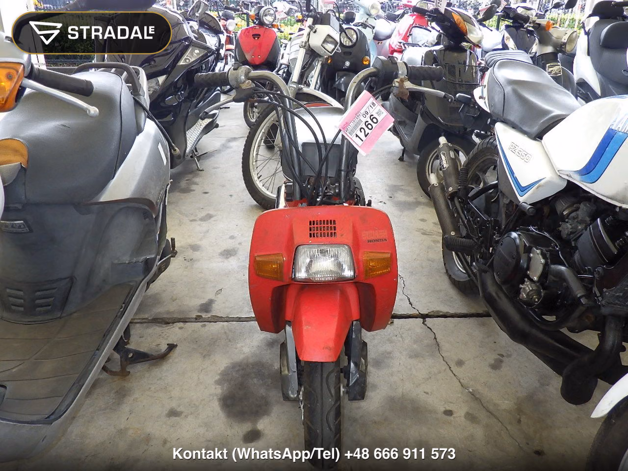 HONDA ｽｶｯｼｭ, miniaturka 6