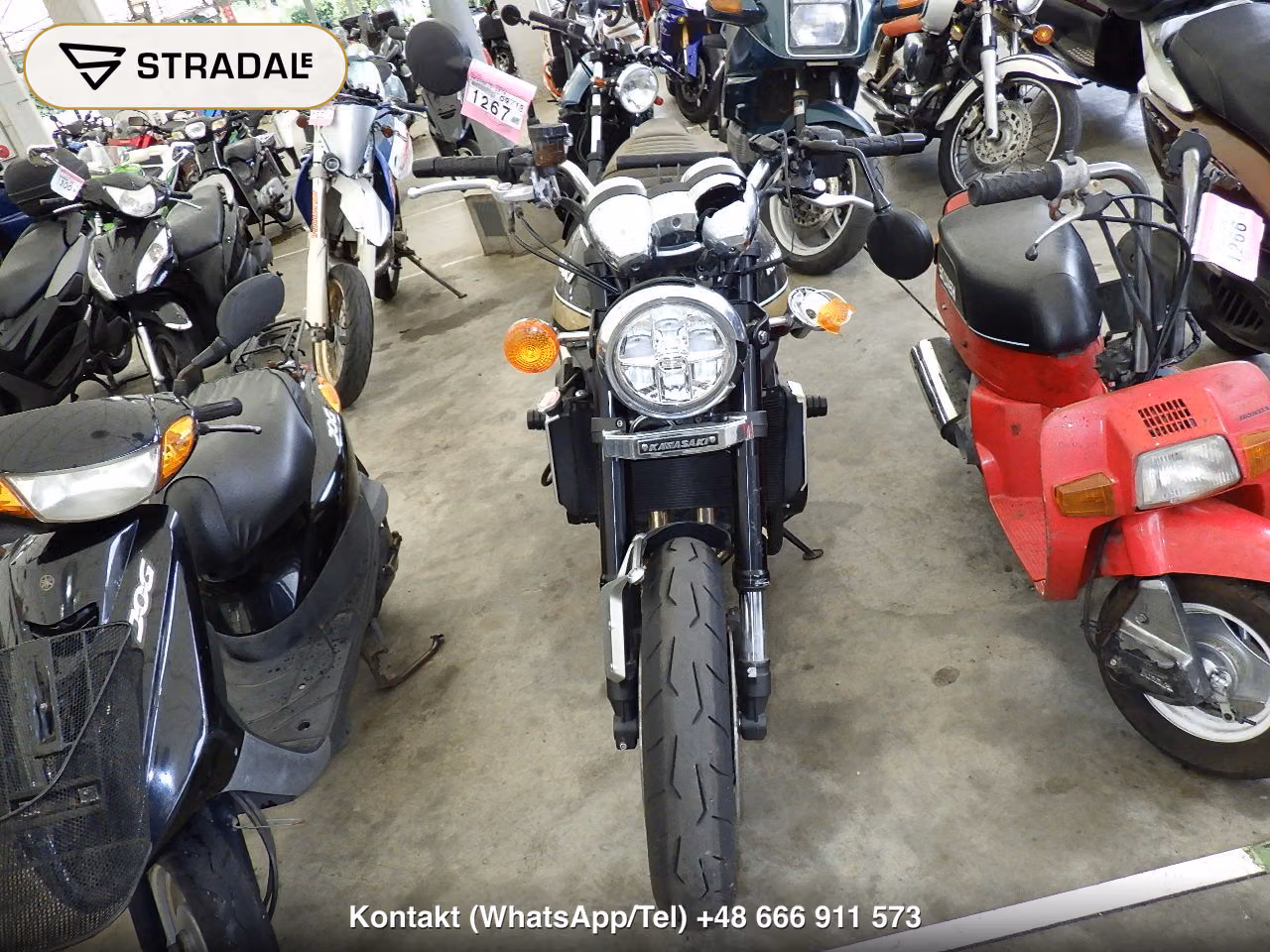 KAWASAKI Z900RS, miniaturka 6