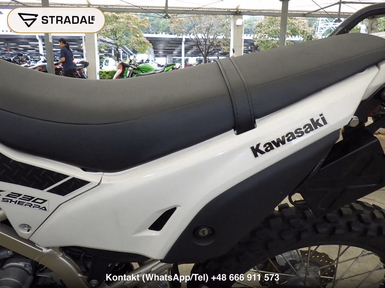 KAWASAKI KLX230ｼｪﾙﾊﾟ, miniaturka 12