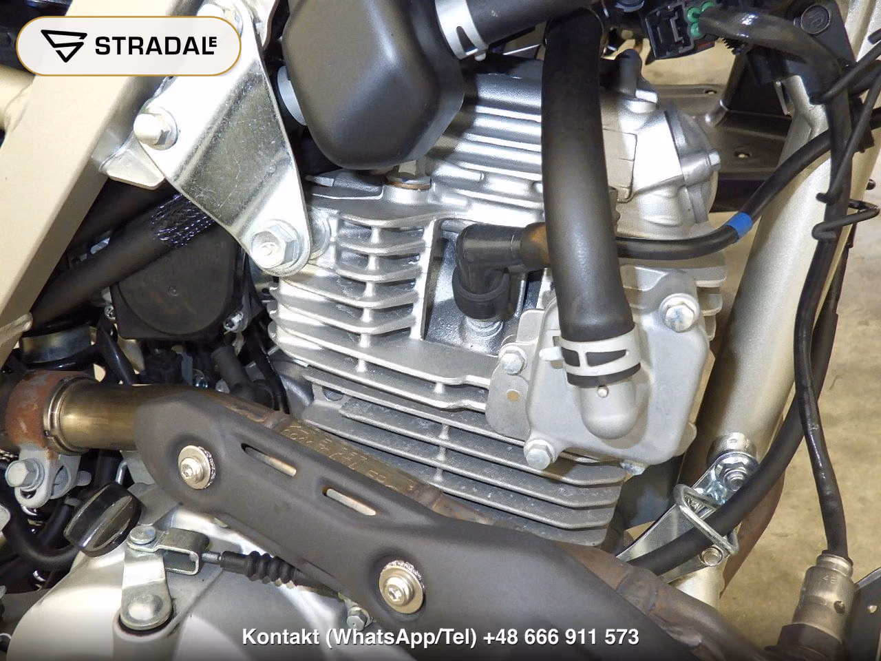 KAWASAKI KLX230ｼｪﾙﾊﾟ, miniaturka 3