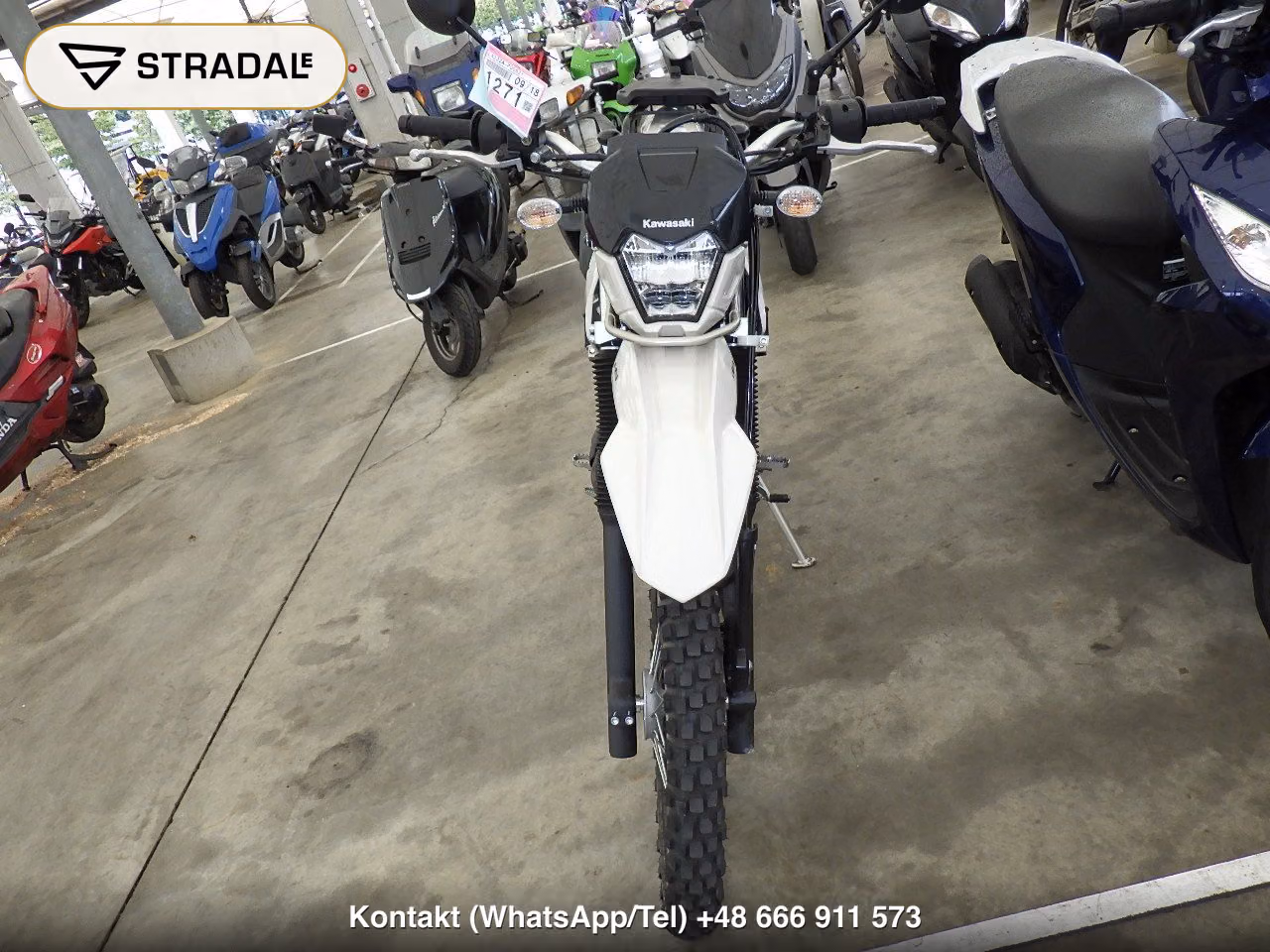KAWASAKI KLX230ｼｪﾙﾊﾟ, miniaturka 6