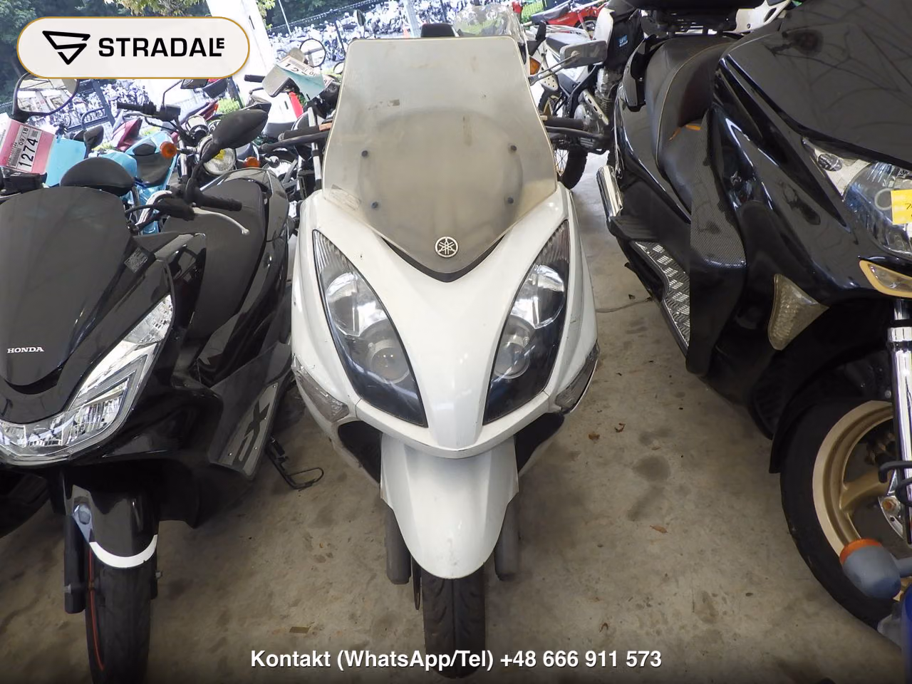 YAMAHA ﾏｼﾞｪｽﾃｨ250-4, miniaturka 6