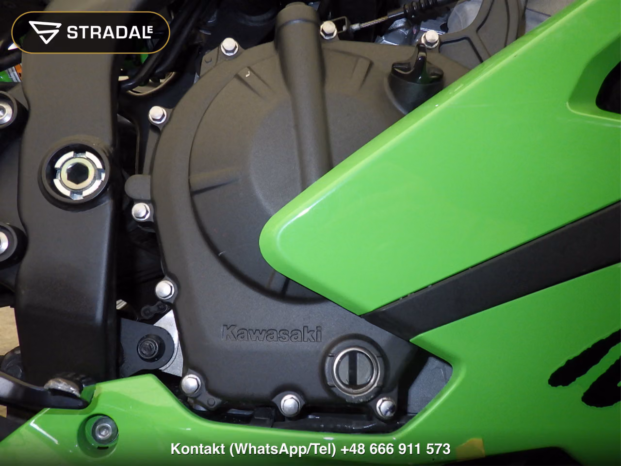 KAWASAKI ZX-4RR, miniaturka 2