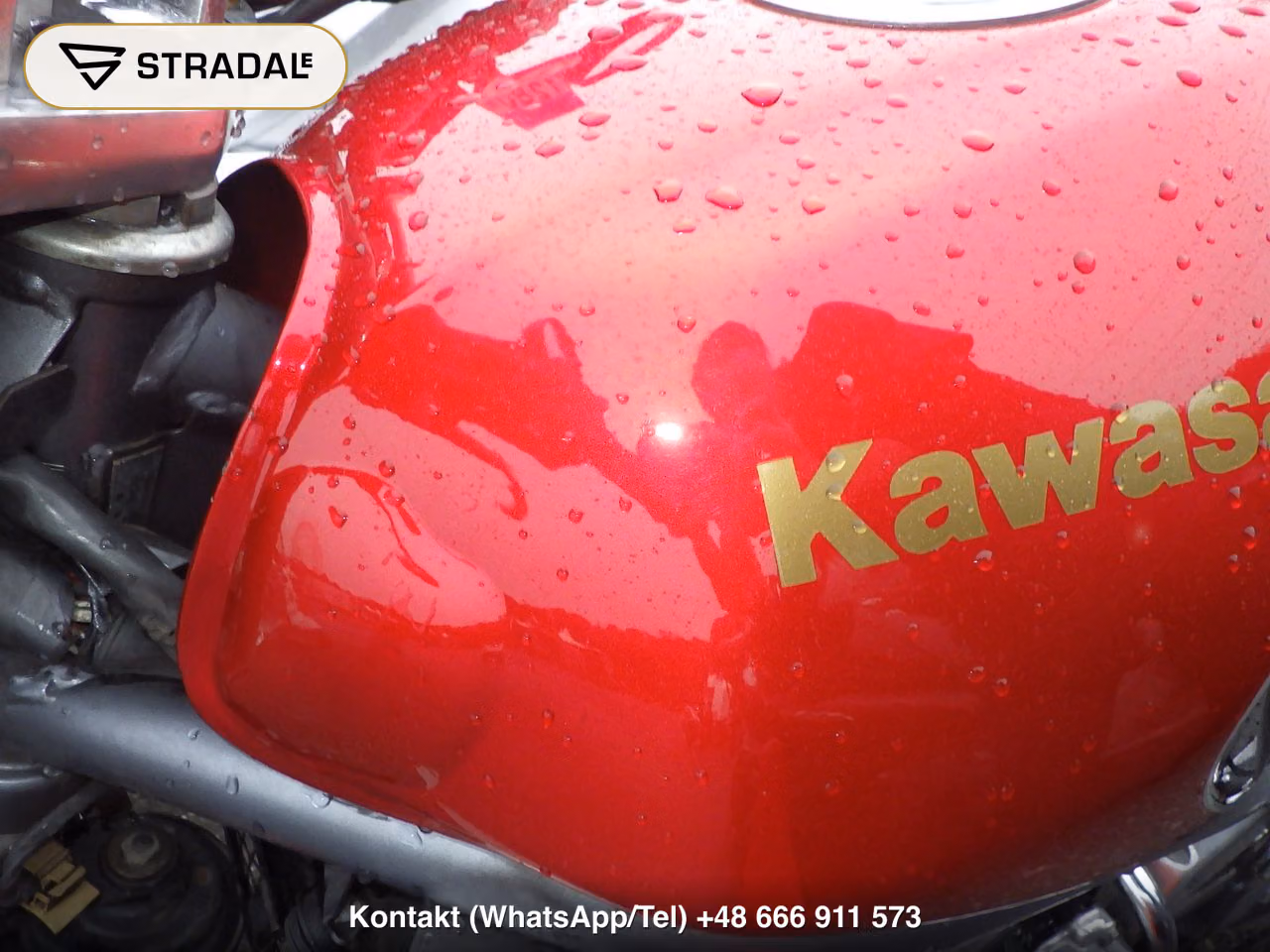 KAWASAKI BALIUS, miniaturka 11