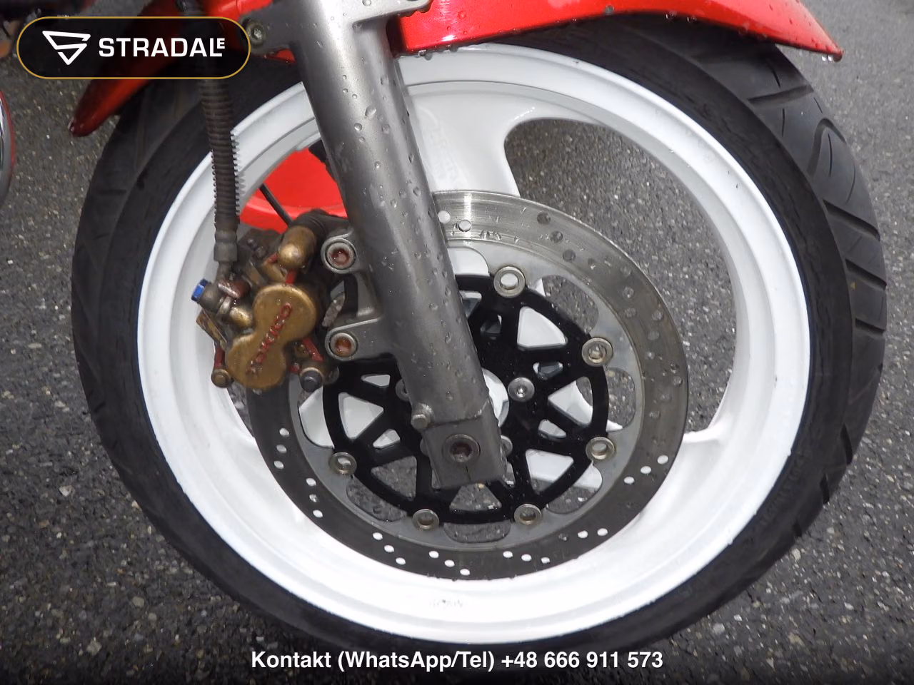 KAWASAKI BALIUS, miniaturka 7