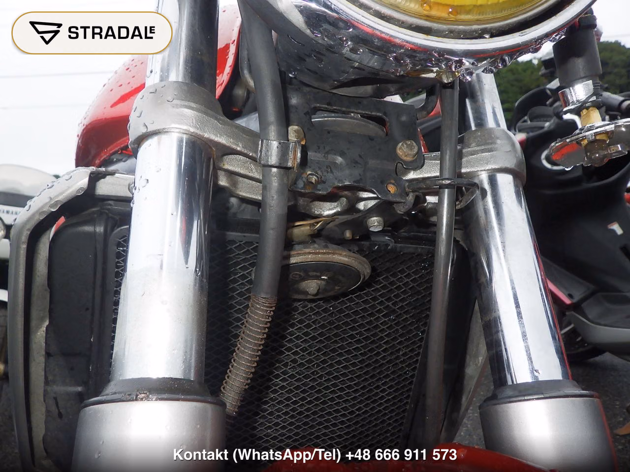 KAWASAKI BALIUS, miniaturka 8