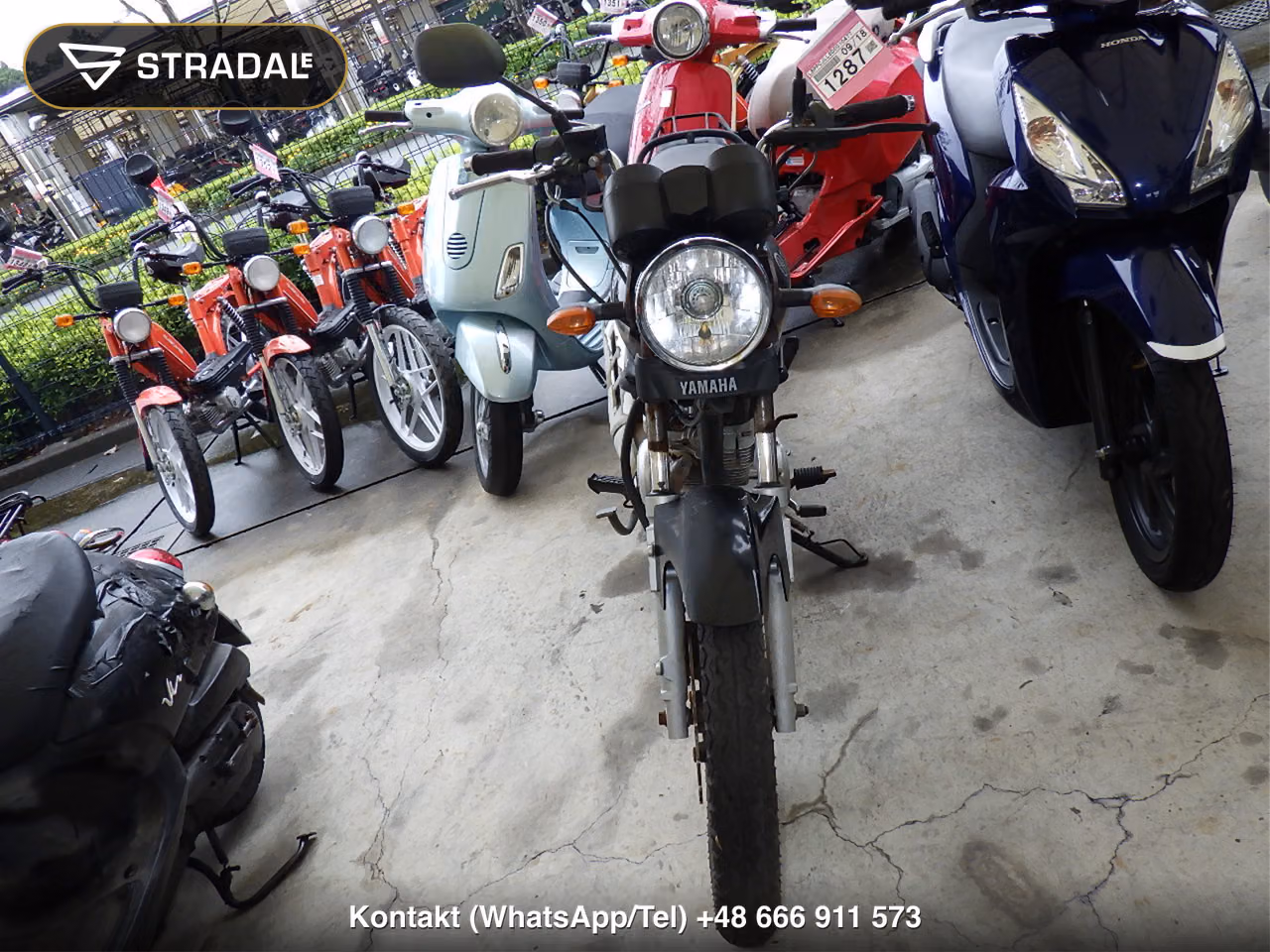 YAMAHA YBR125, miniaturka 6