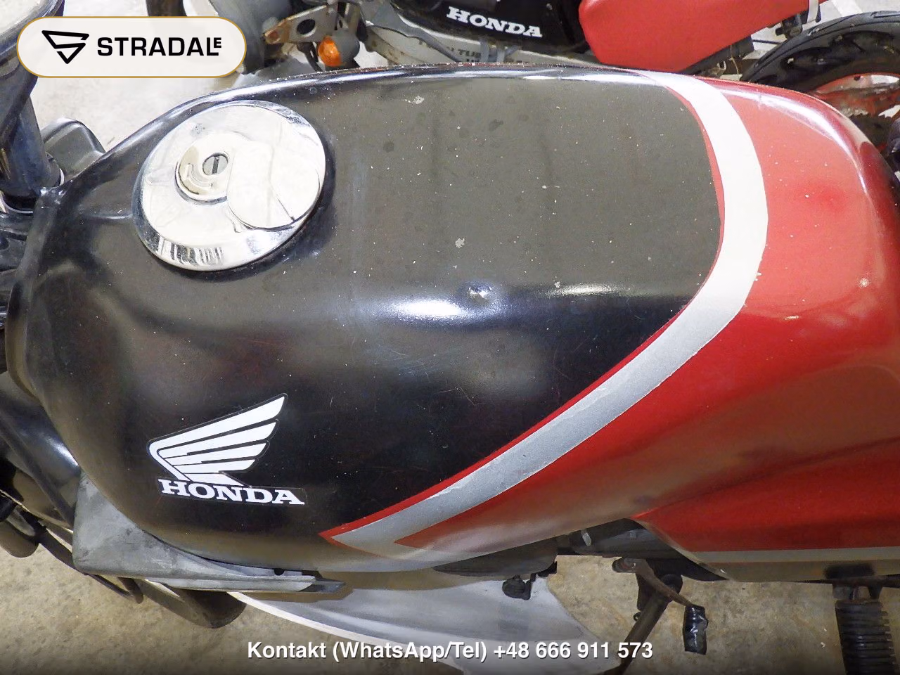 HONDA MBX80ｲﾝﾃｸﾞﾗ, miniaturka 12