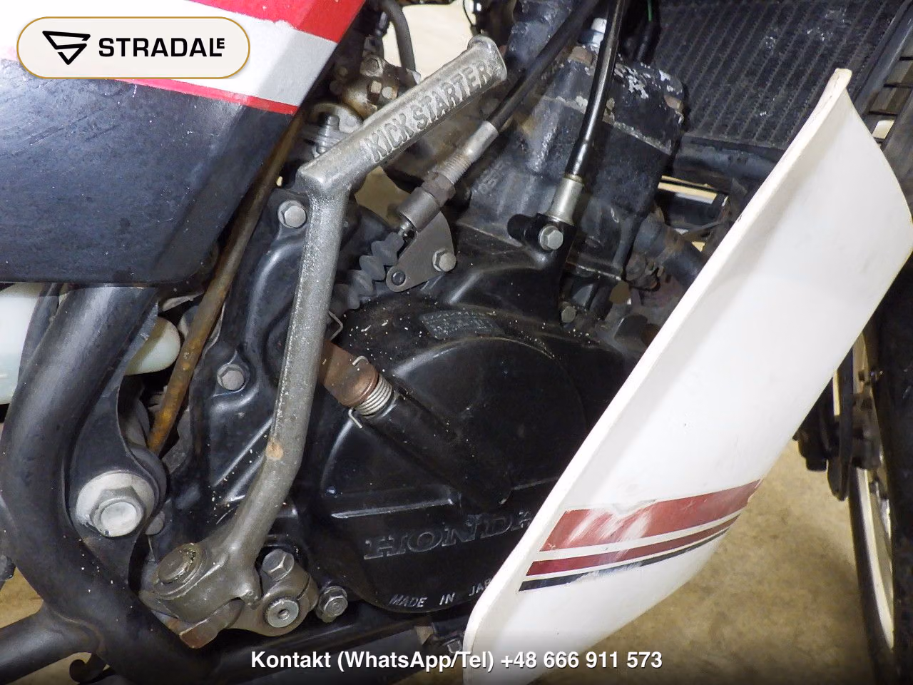 HONDA MBX80ｲﾝﾃｸﾞﾗ, miniaturka 4