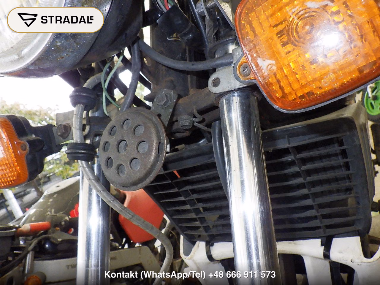 HONDA MBX80ｲﾝﾃｸﾞﾗ, miniaturka 8