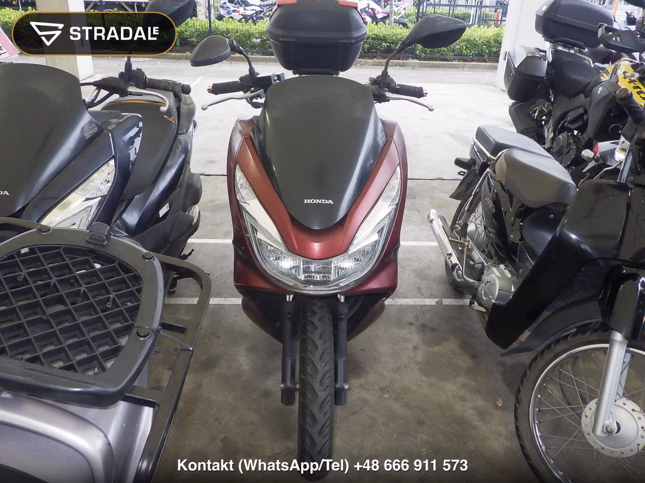HONDA PCX125-2, miniaturka 6