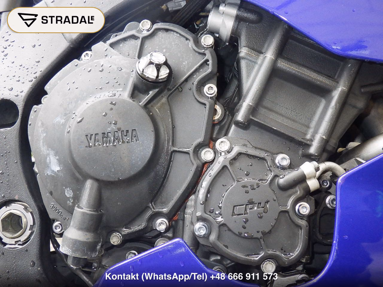 YAMAHA YZF-R1, miniaturka 2