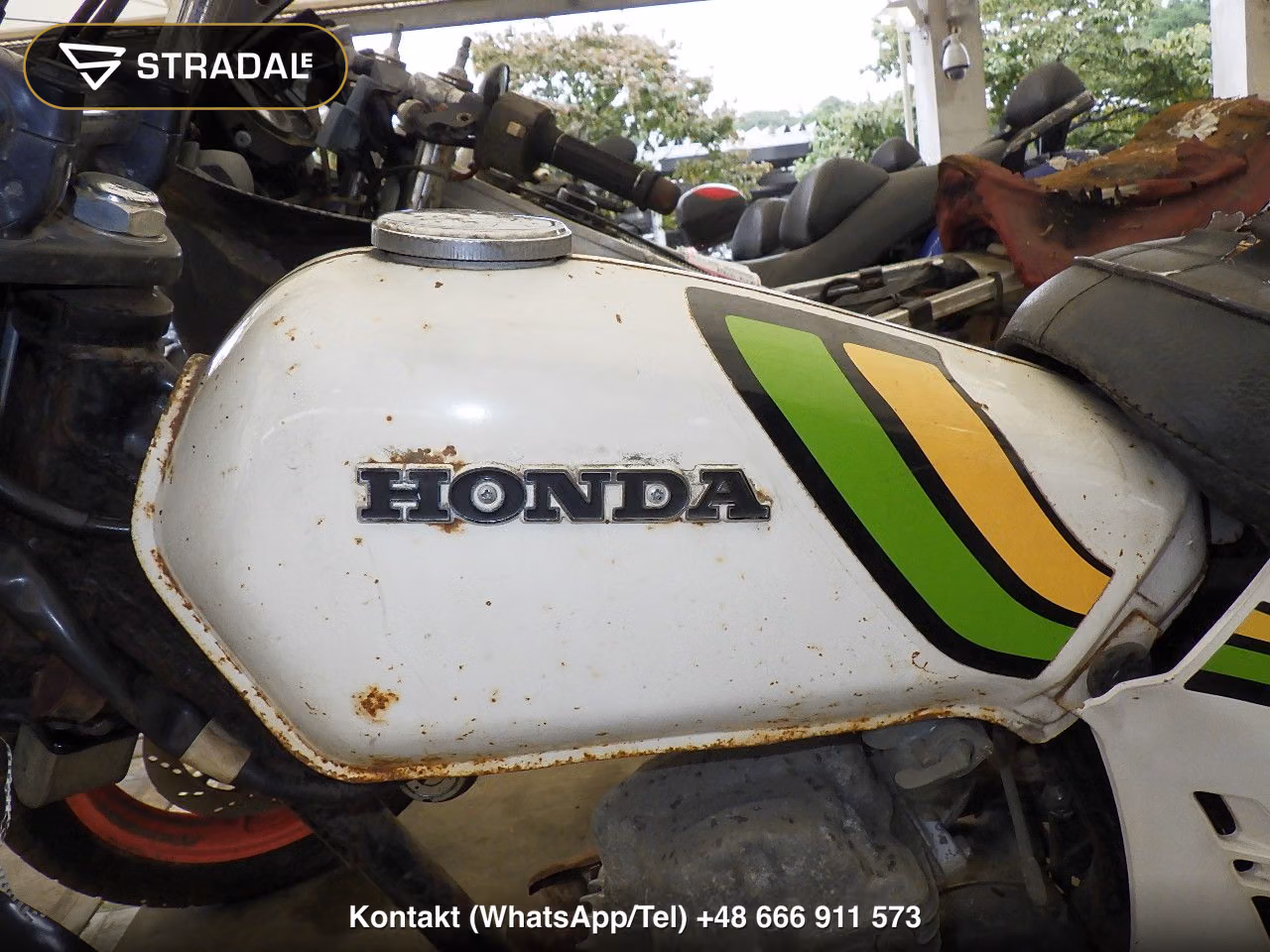 HONDA ﾉｰﾃｨｰﾀﾞｯｸｽ, miniaturka 11