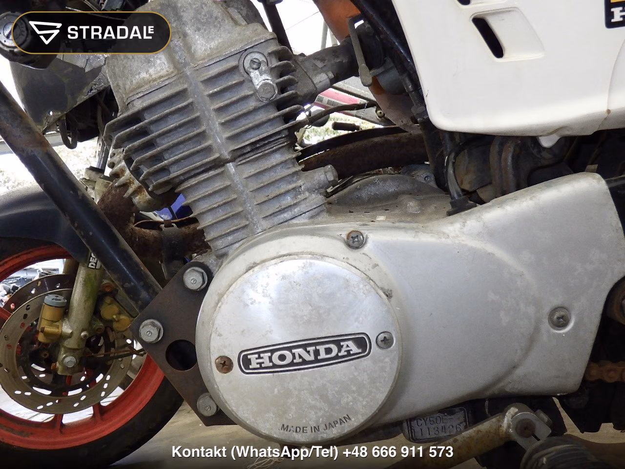 HONDA ﾉｰﾃｨｰﾀﾞｯｸｽ, miniaturka 3