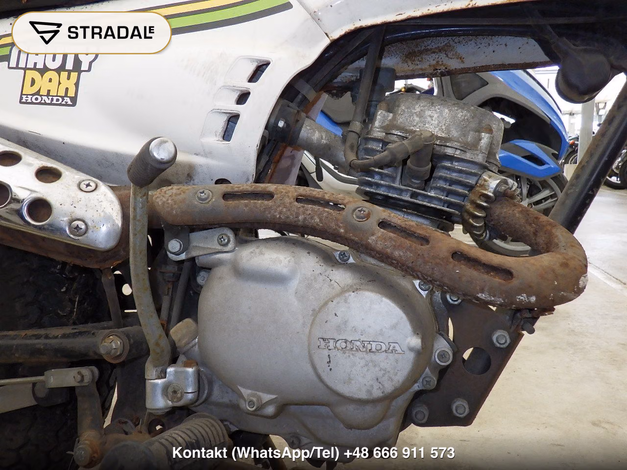 HONDA ﾉｰﾃｨｰﾀﾞｯｸｽ, miniaturka 4