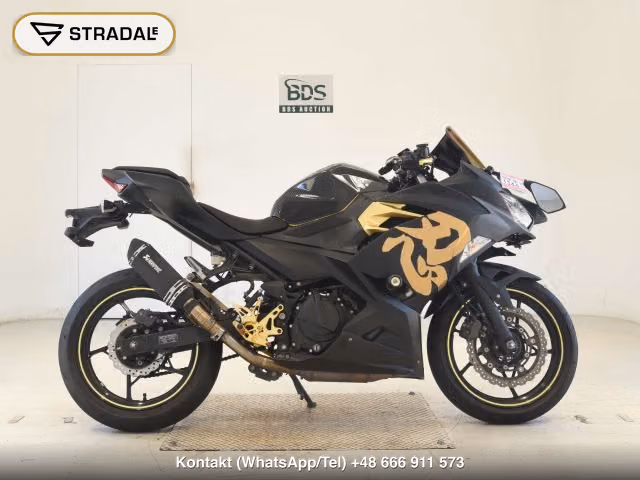 KAWASAKI NINJA250-2, aukcja z Japonii, zdjęcie 1