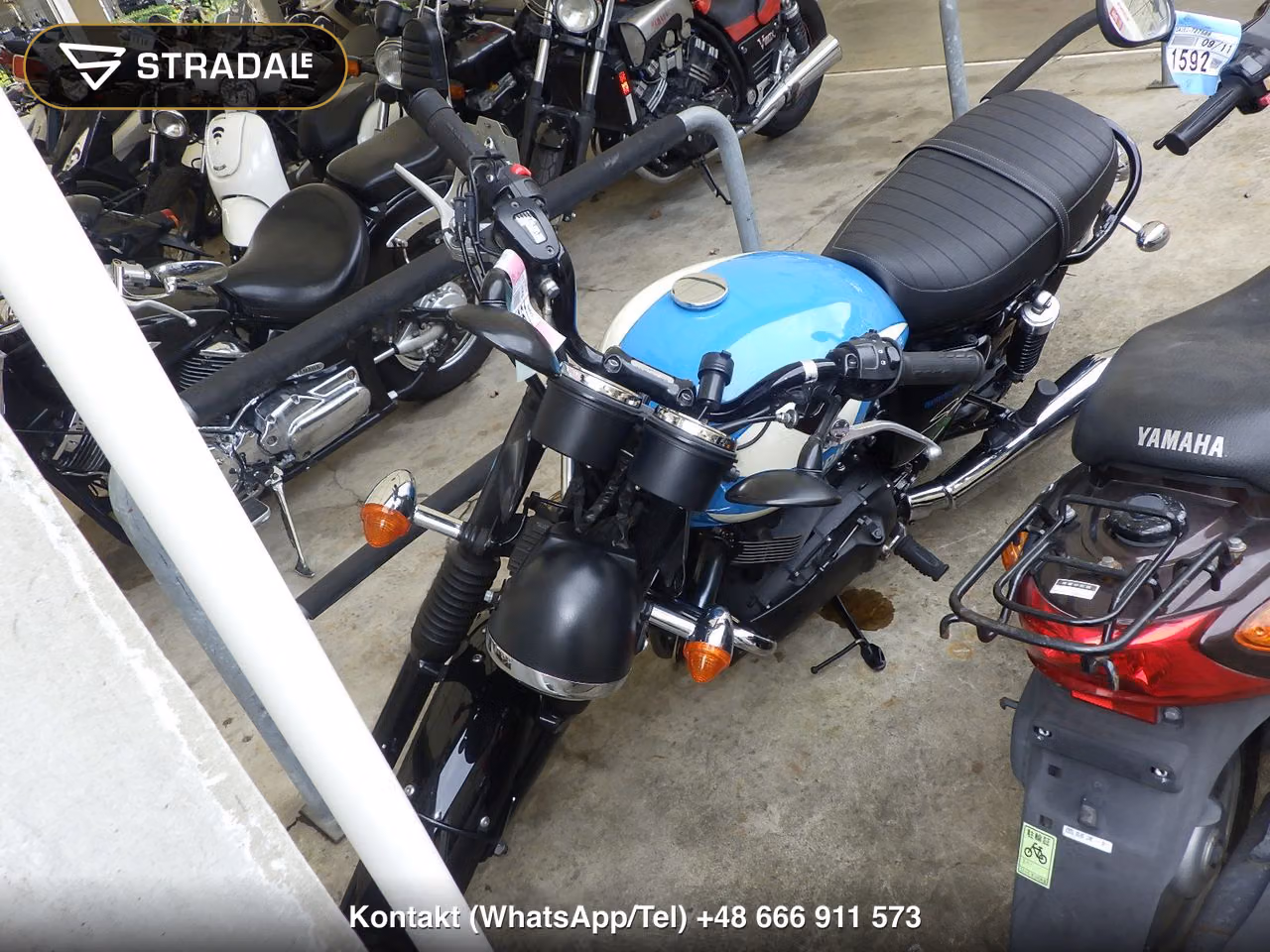 TRIUMPH ﾎﾞﾝﾈﾋﾞﾙT100, miniaturka 6