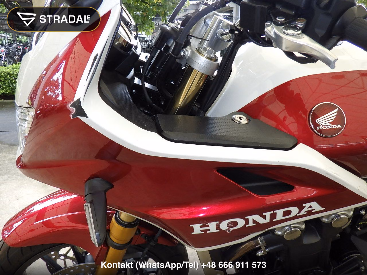 HONDA CB1300Sﾎﾞﾙﾄﾞｰﾙ-3SP, miniaturka 12