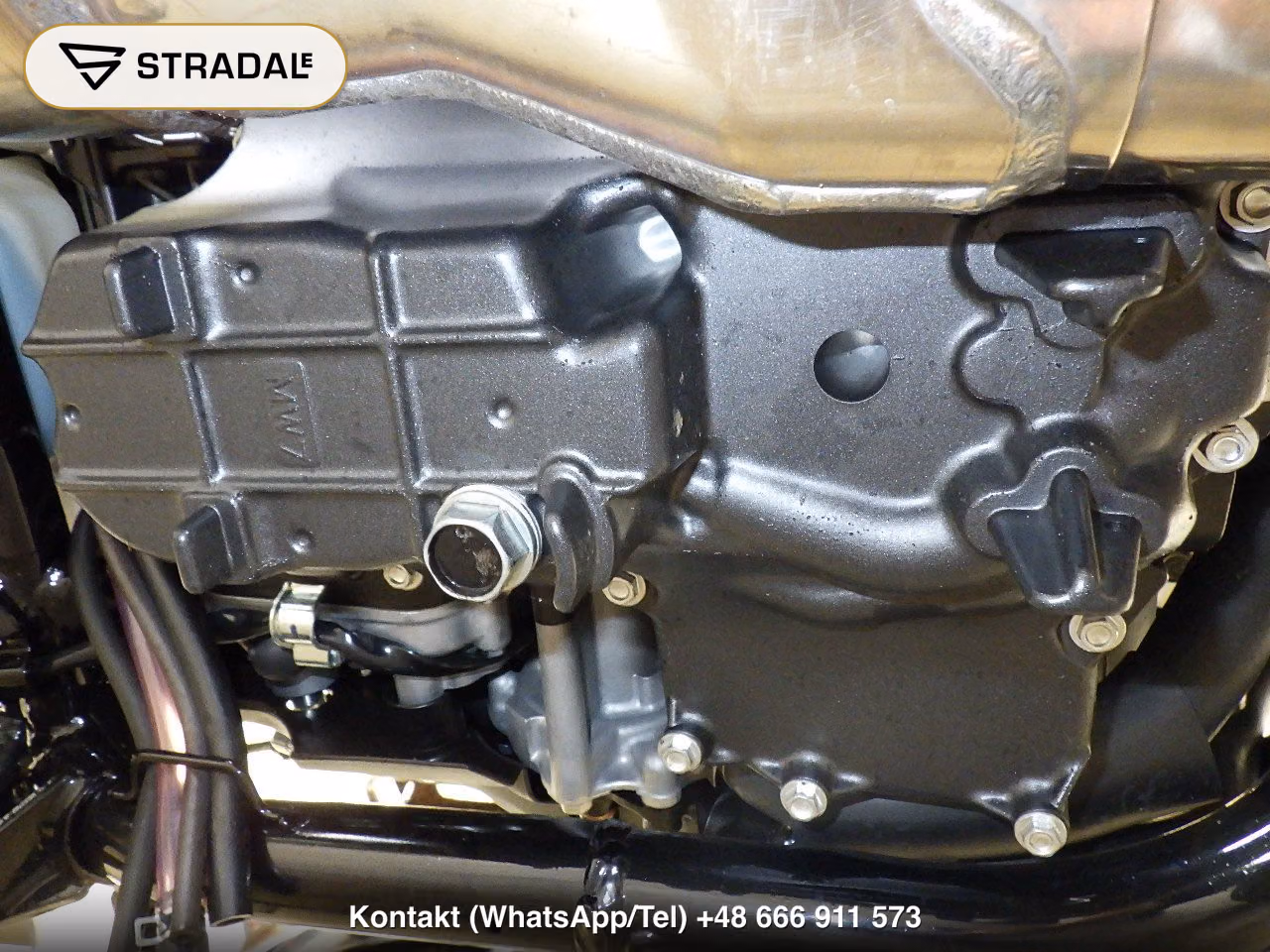 HONDA CB1300Sﾎﾞﾙﾄﾞｰﾙ-3SP, miniaturka 3