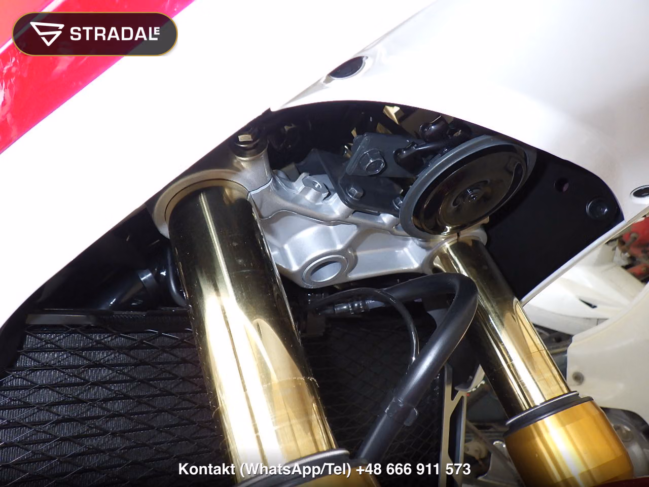 HONDA CB1300Sﾎﾞﾙﾄﾞｰﾙ-3SP, miniaturka 8