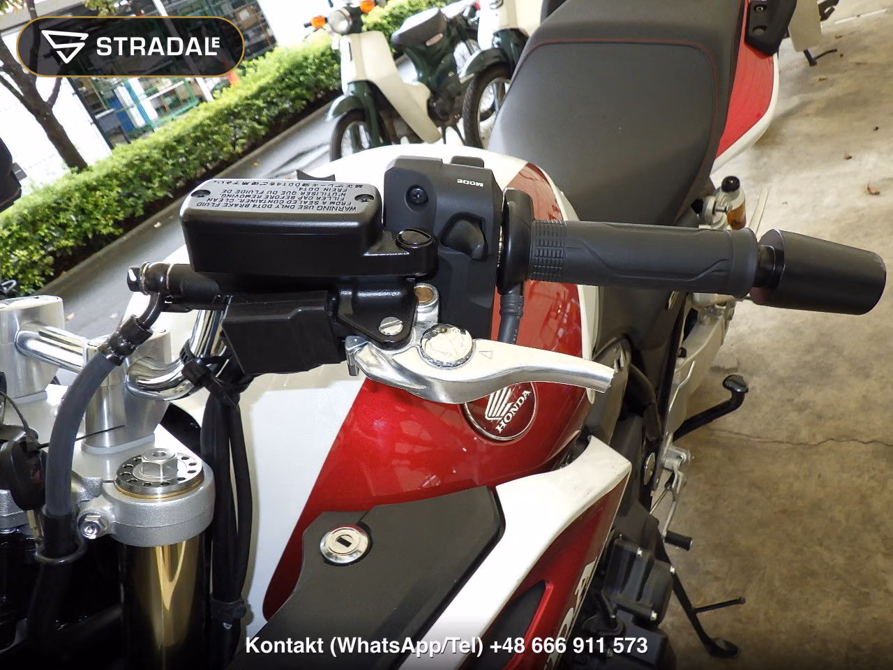 HONDA CB1300Sﾎﾞﾙﾄﾞｰﾙ-3SP, miniaturka 9