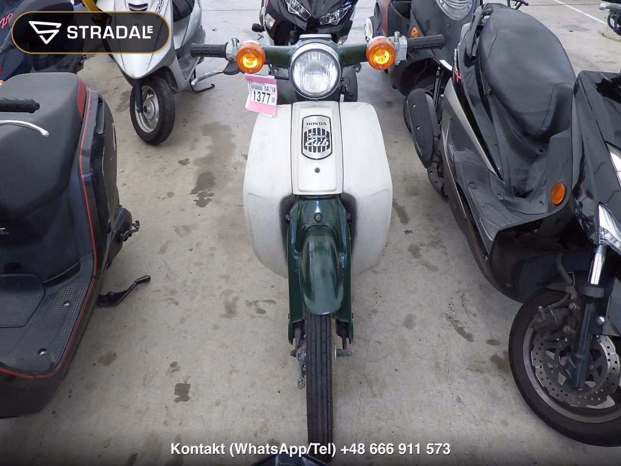 HONDA C50, miniaturka 6