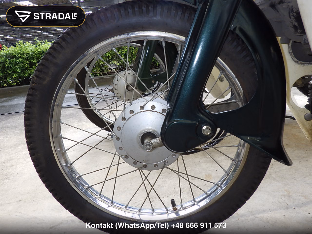 HONDA C50, miniaturka 8
