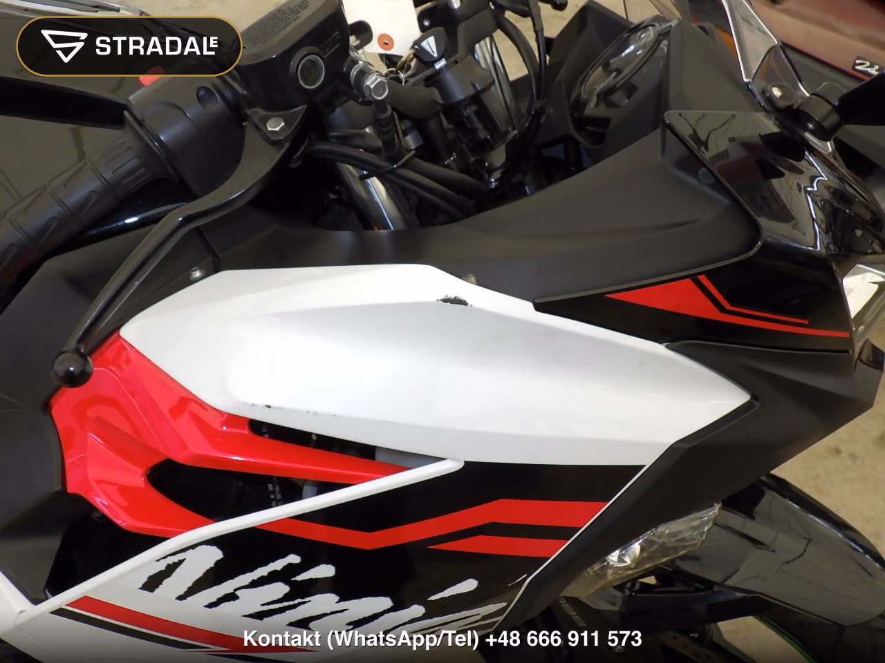 KAWASAKI NINJA250-2, miniaturka 10