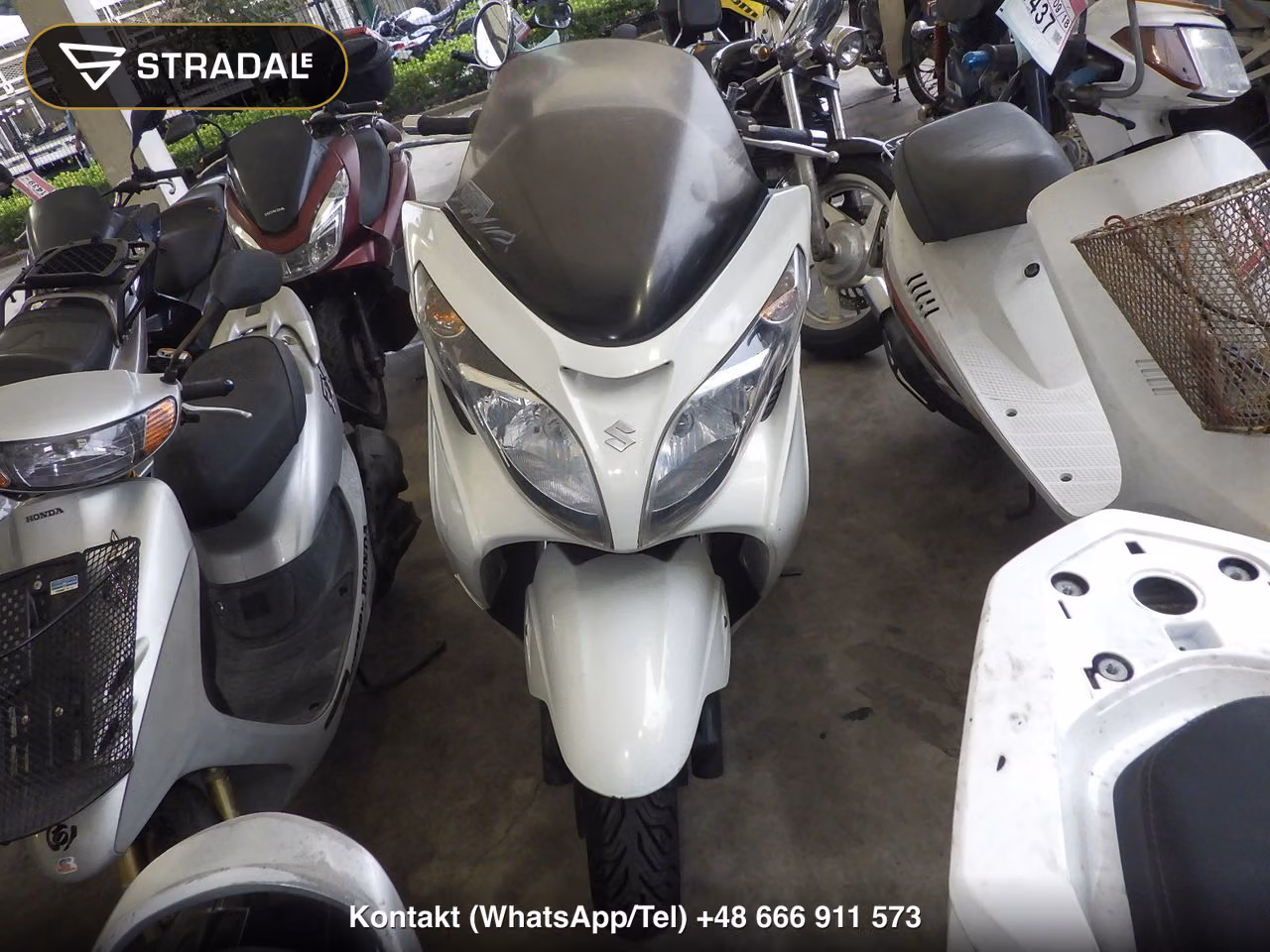 SUZUKI ｽｶｲｳｪｲﾌﾞ250S-3, miniaturka 6