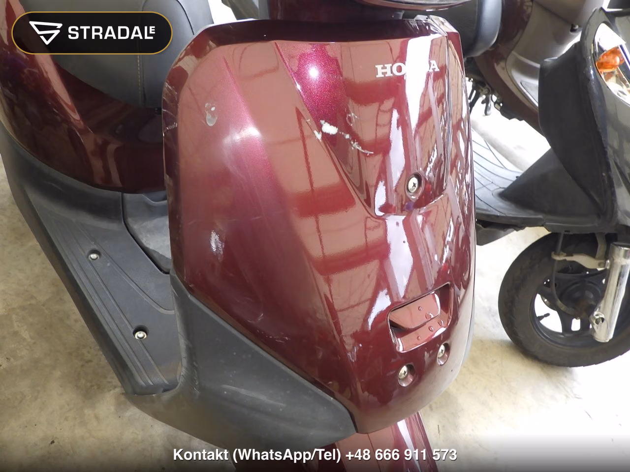 HONDA ﾀｸﾄ-4ﾍﾞｰｼｯｸ, miniaturka 12