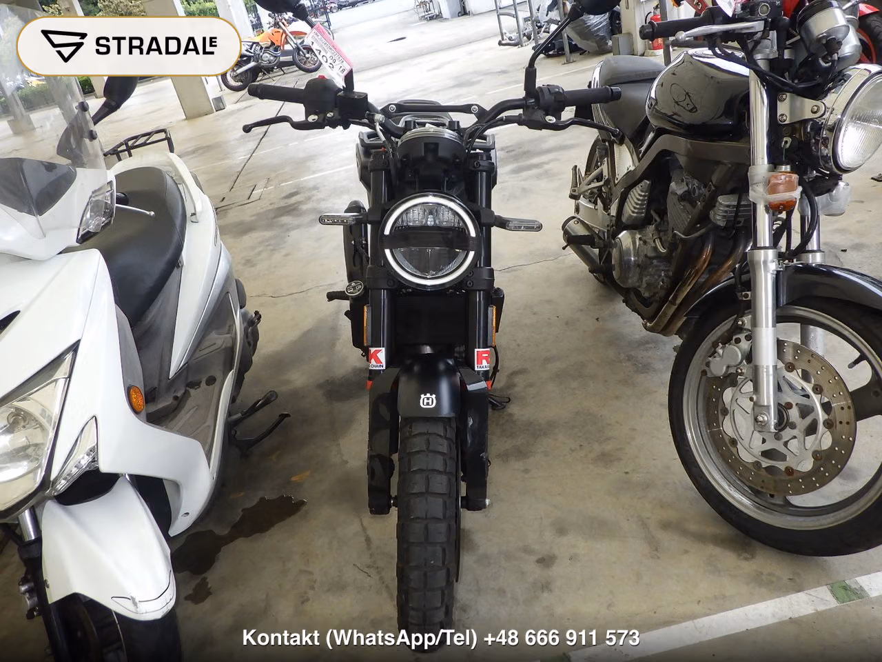 HUSQVARNA ｽﾊﾞﾙﾄﾋﾟﾚﾝ401, miniaturka 6