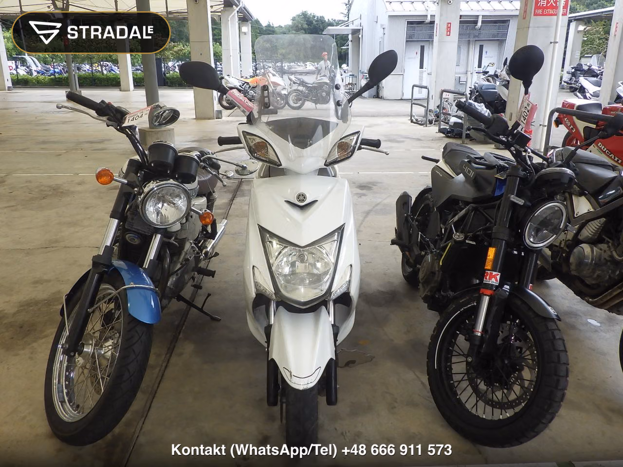 YAMAHA ｼｸﾞﾅｽ125X-2, miniaturka 6