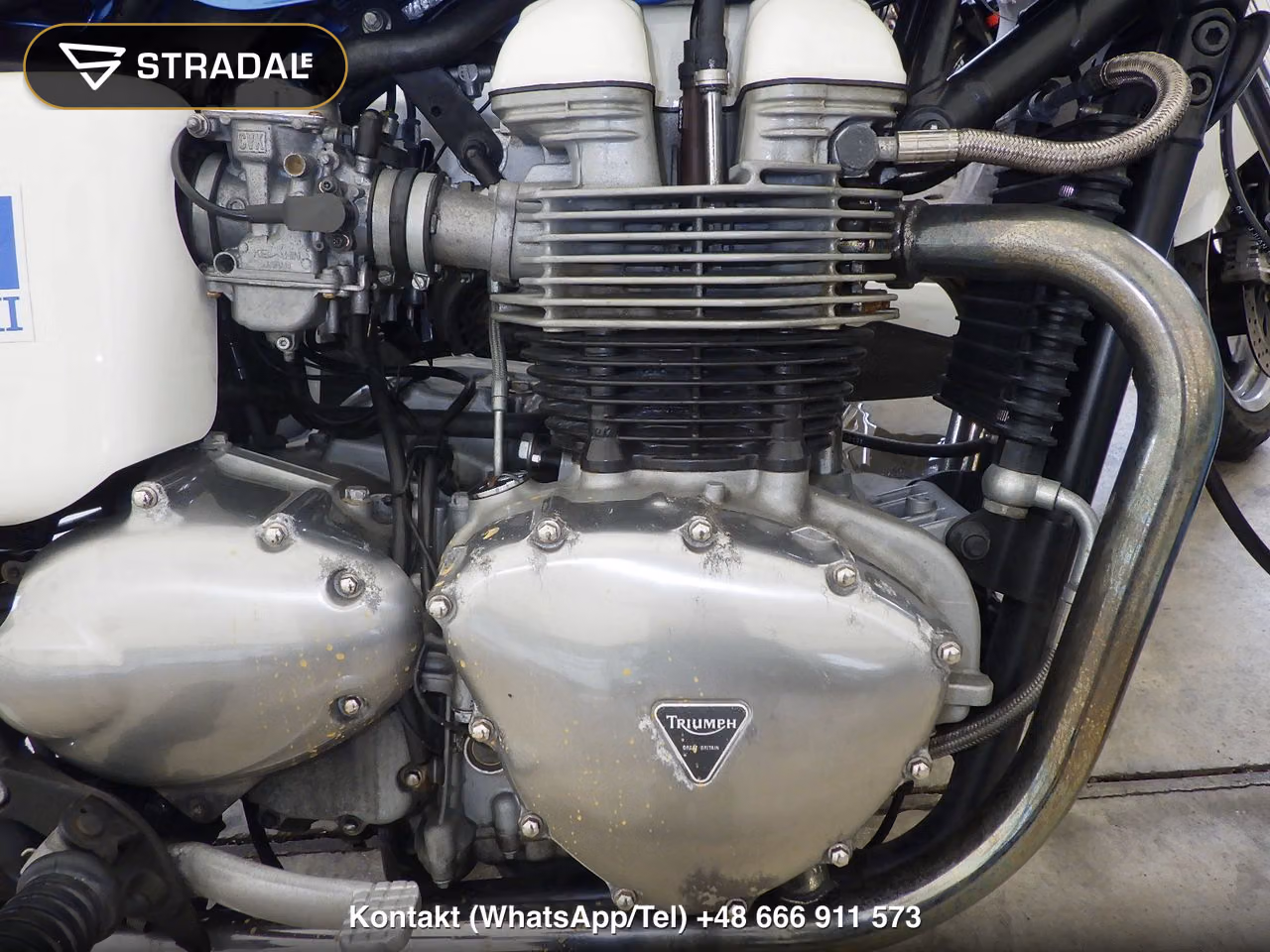 TRIUMPH ﾎﾞﾝﾈﾋﾞﾙ, miniaturka 3