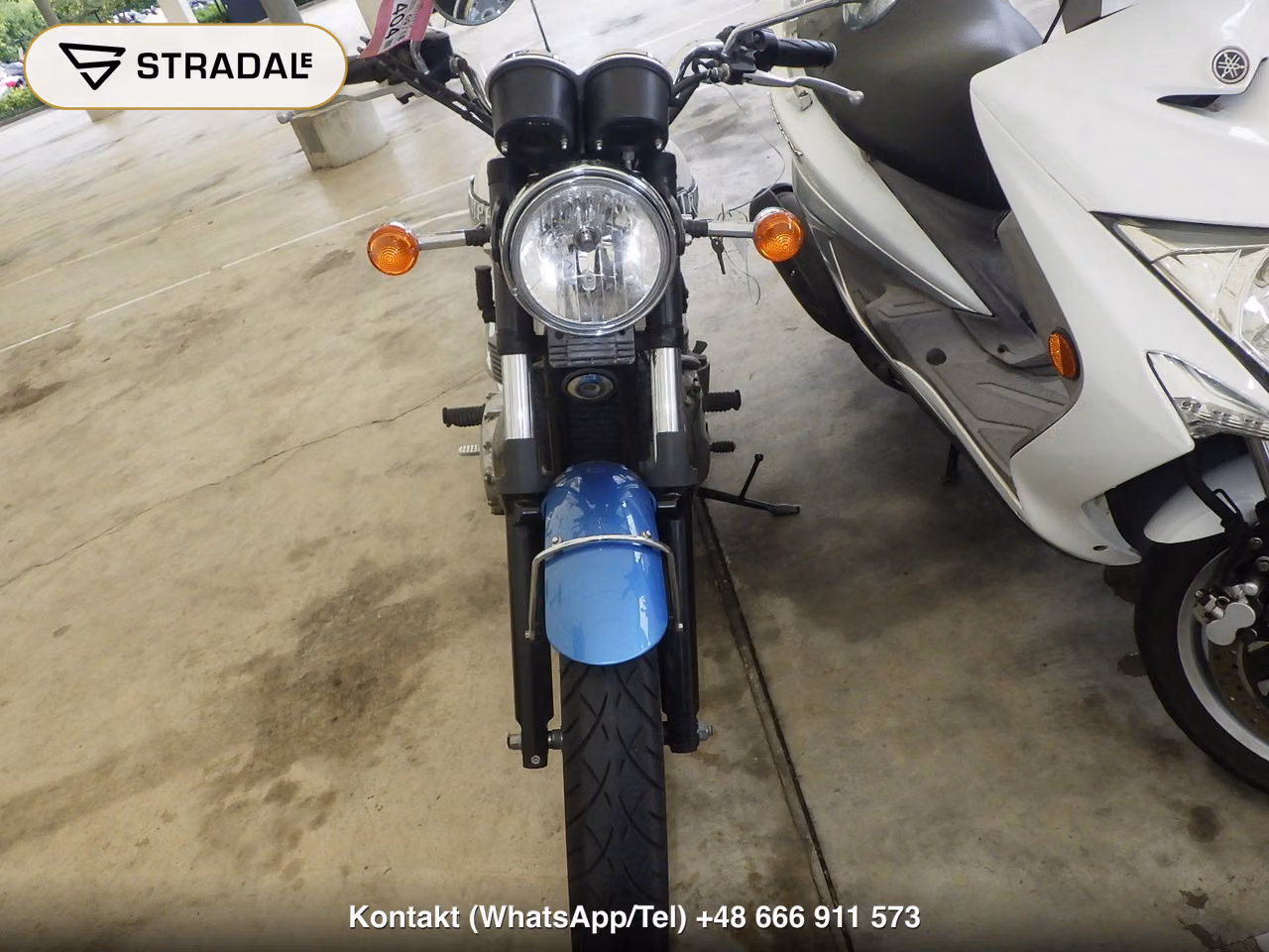 TRIUMPH ﾎﾞﾝﾈﾋﾞﾙ, miniaturka 6