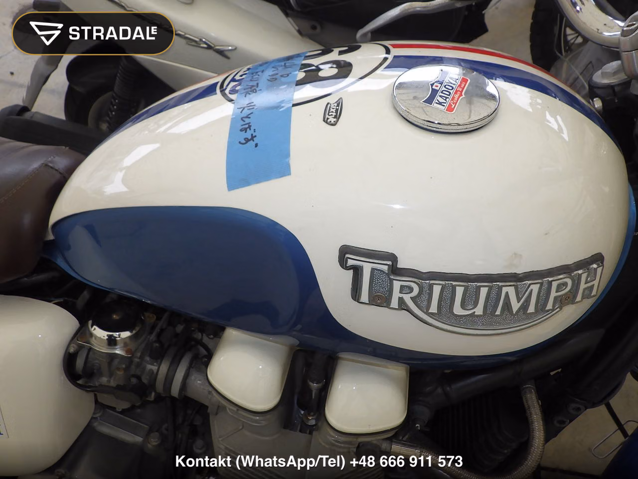 TRIUMPH ﾎﾞﾝﾈﾋﾞﾙ, miniaturka 10