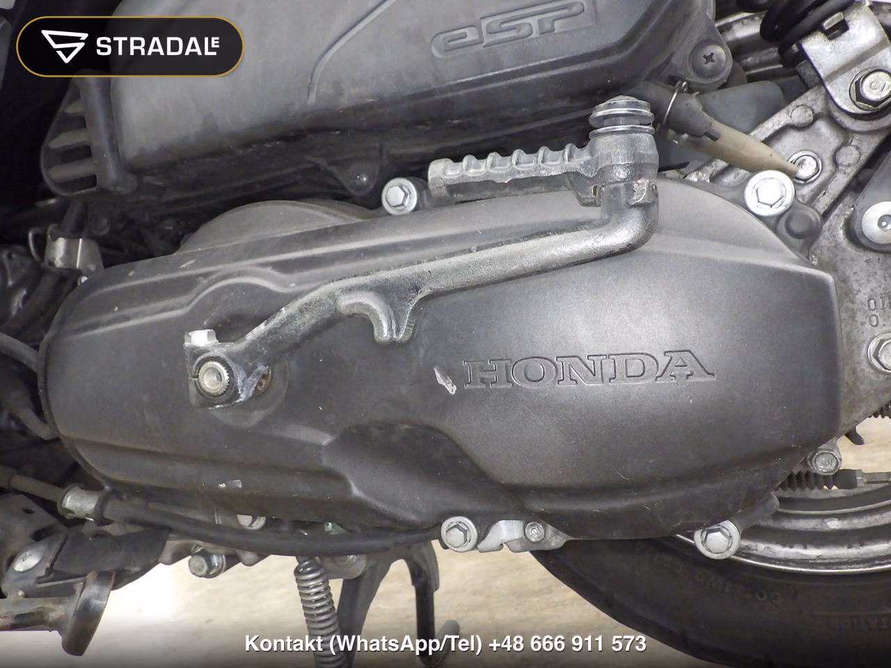 HONDA ﾀｸﾄ-4ﾍﾞｰｼｯｸ, miniaturka 3