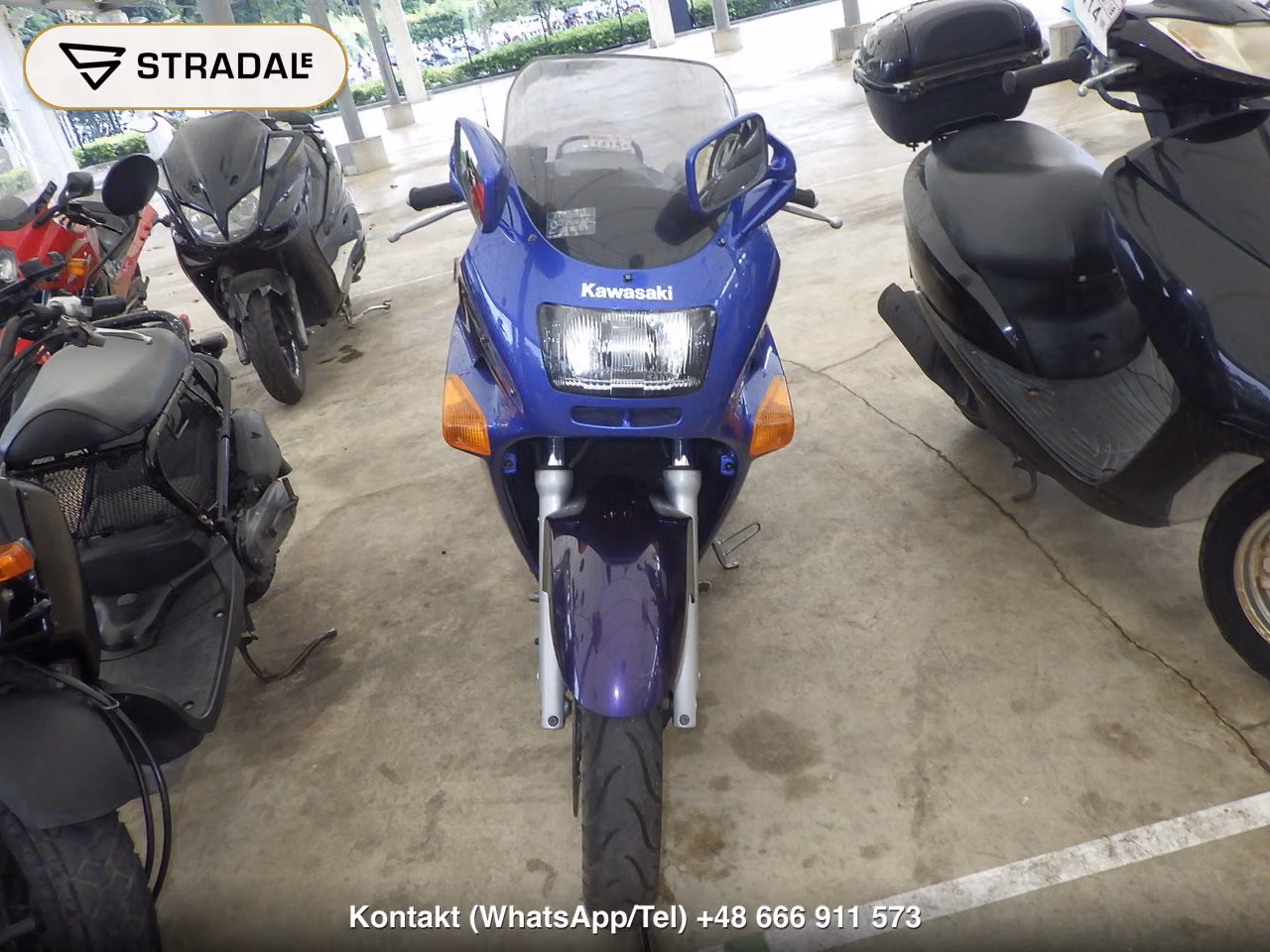 KAWASAKI ZZ-R250, miniaturka 6