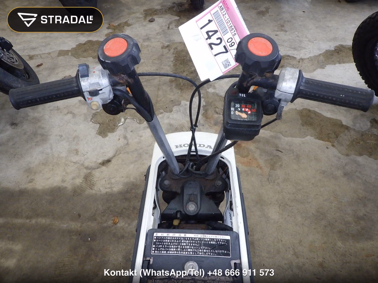 HONDA ﾓﾄｺﾝﾎﾟ, miniaturka 9