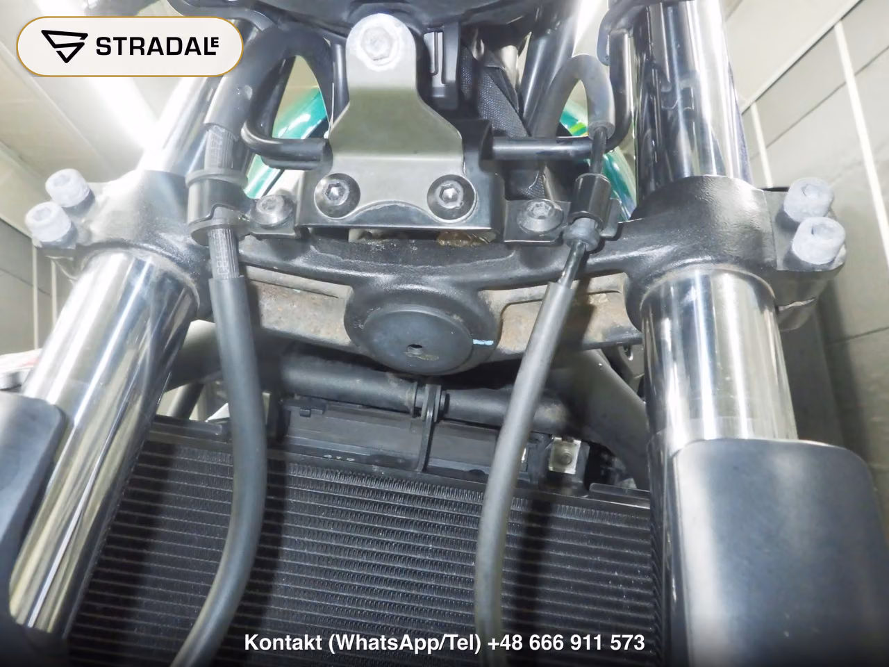 KAWASAKI Z650RS, miniaturka 8
