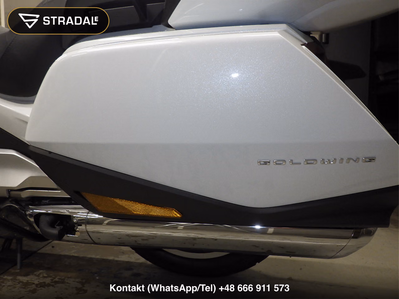 HONDA GL1800ﾂｱｰD, miniaturka 12